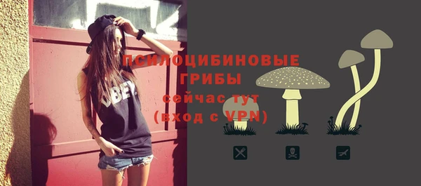 герыч Алзамай