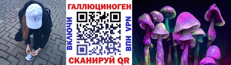 закладки  Байкальск  Галлюциногенные грибы Cubensis 